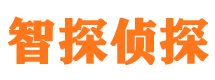 应县市私家侦探